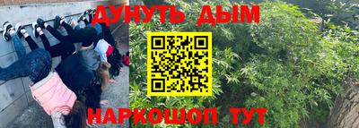 PSILOCYBIN Ливны